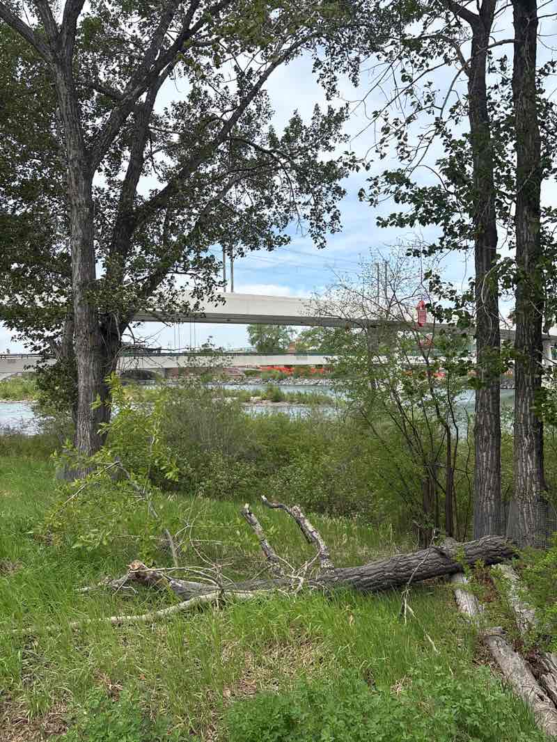 walking near me in West Eau Claire Park in summer