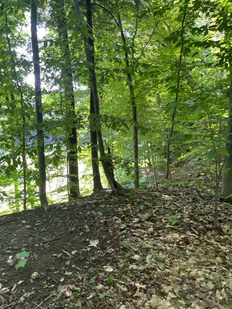 walking near me in Réserve écologique de l'Île-Garth in winter