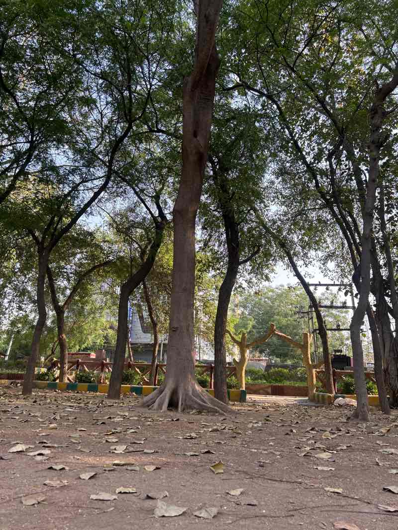 walking near me in Modi Ground in spring