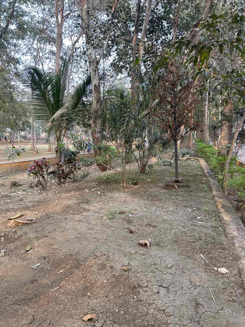 walking near me in Anupam Garden in winter