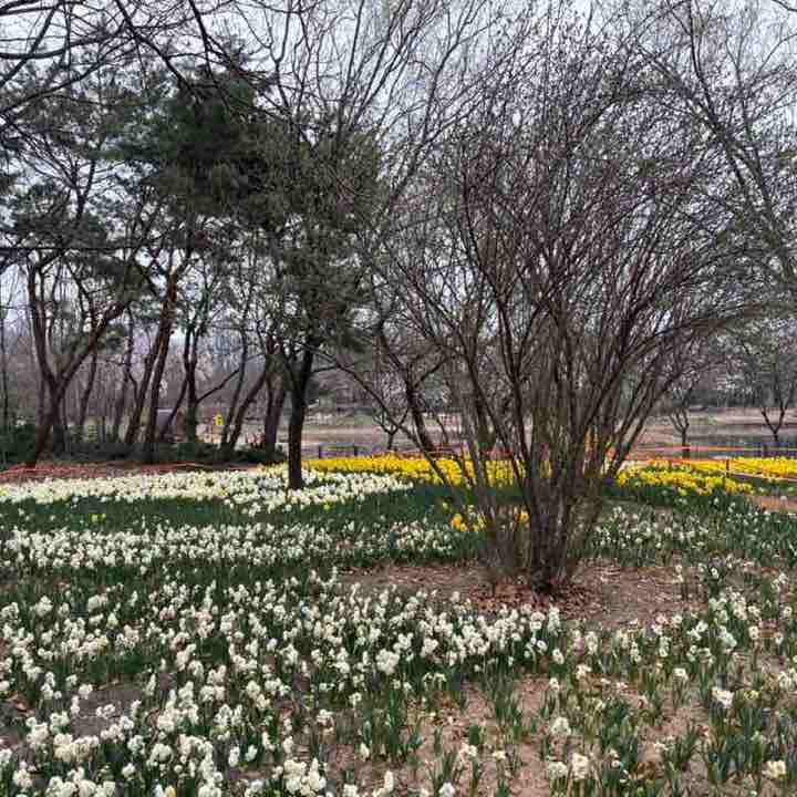 병수🇰🇷 post 2