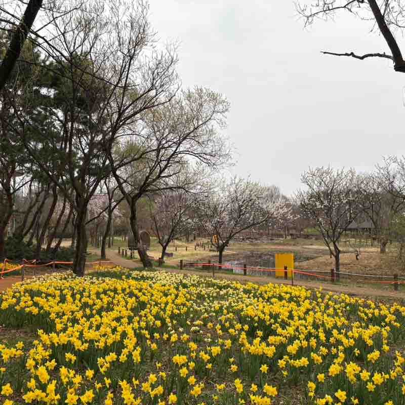 병수🇰🇷 post 3