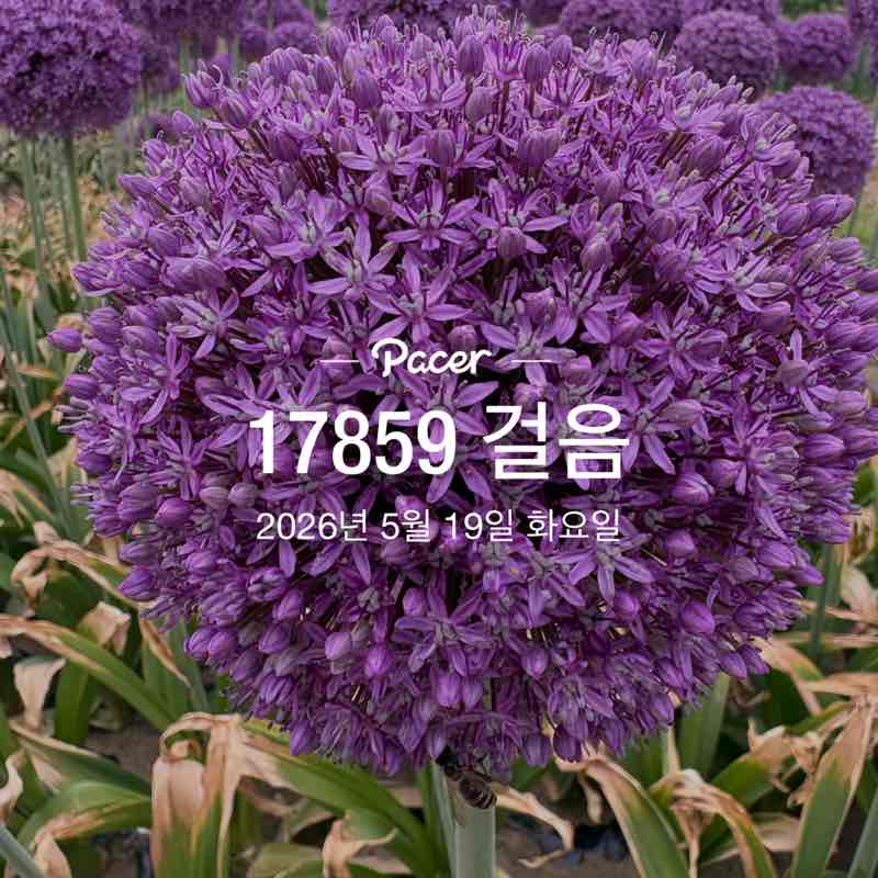 병수🇰🇷 post 1