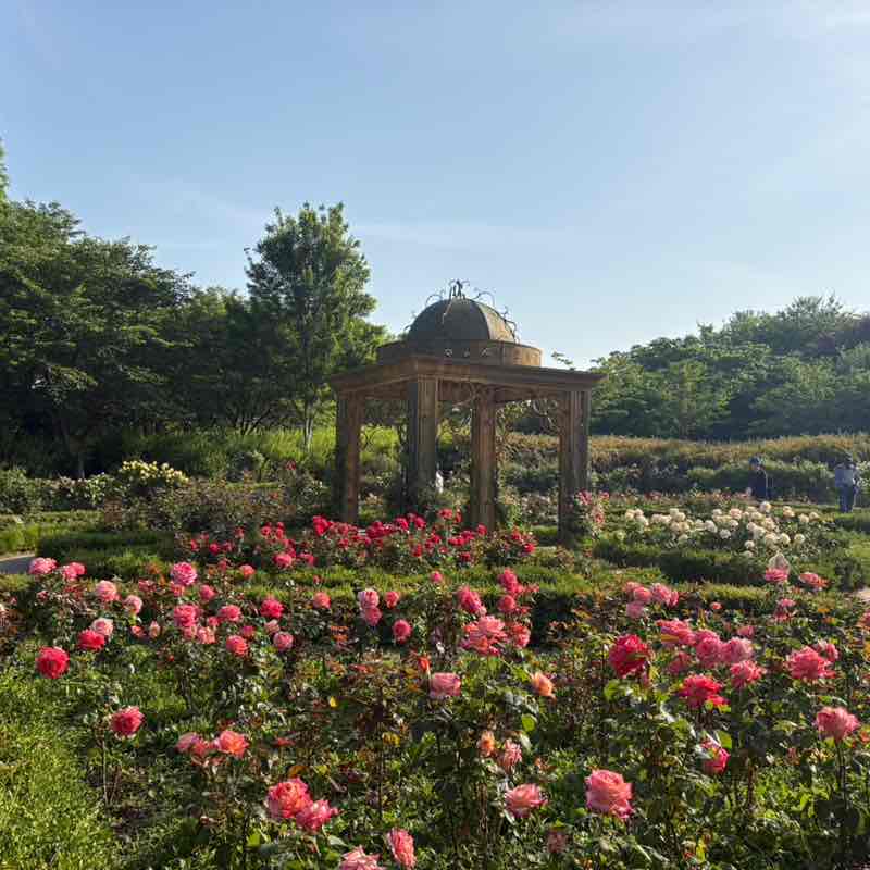 병수🇰🇷 post 2