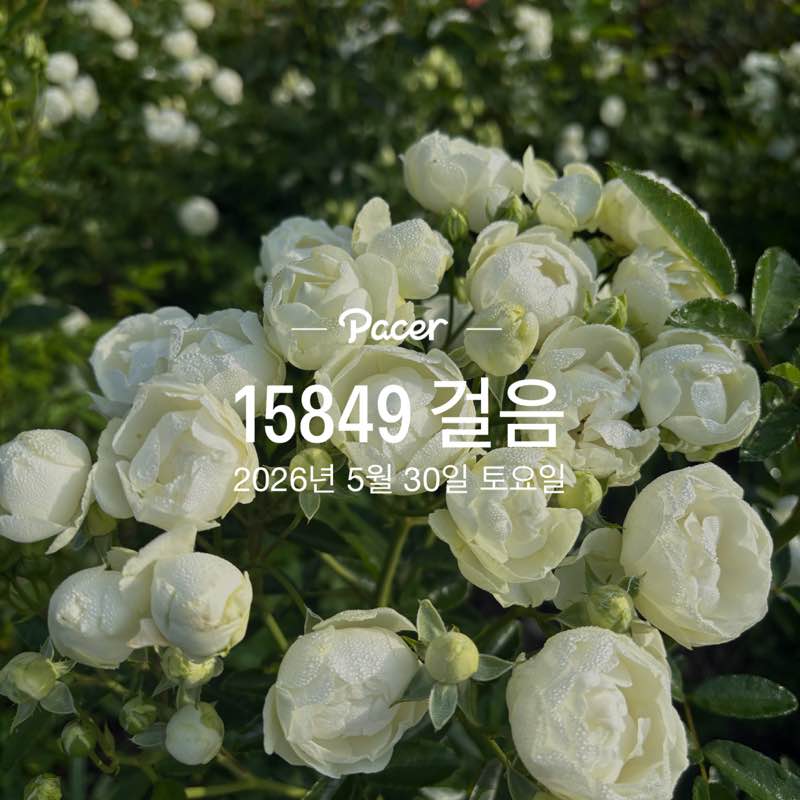 병수🇰🇷 post 1