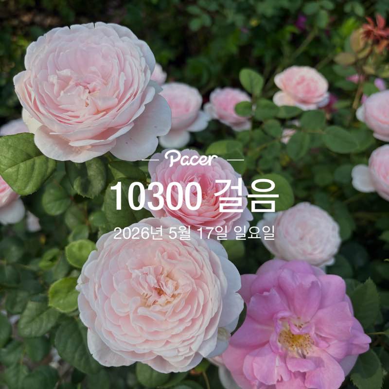 병수🇰🇷 post 1