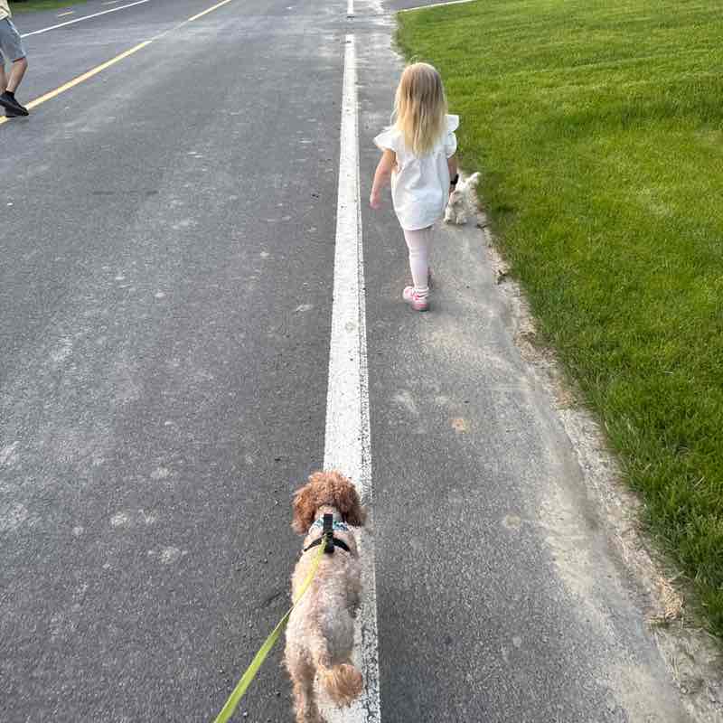 Mylène Beaudet post 1