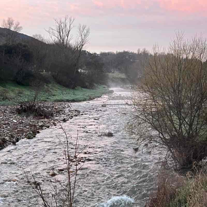 frederic.mellinand post 2