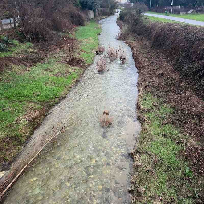 frederic.mellinand post 2