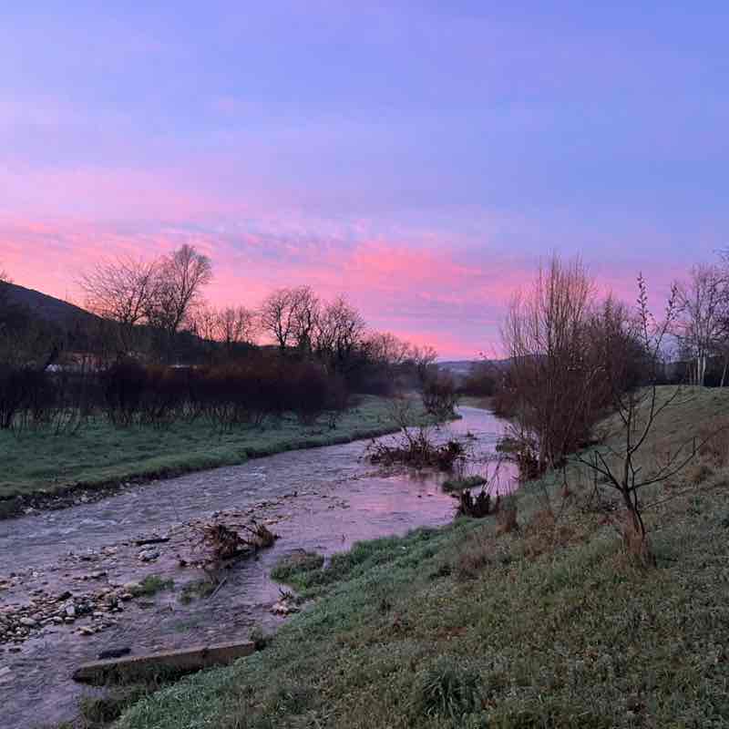 frederic.mellinand post 1