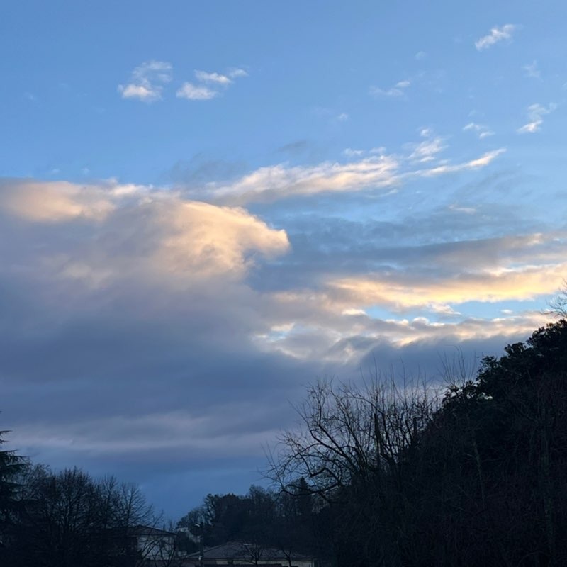 frederic.mellinand post 1