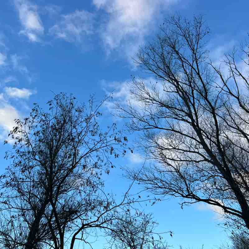 frederic.mellinand post 2