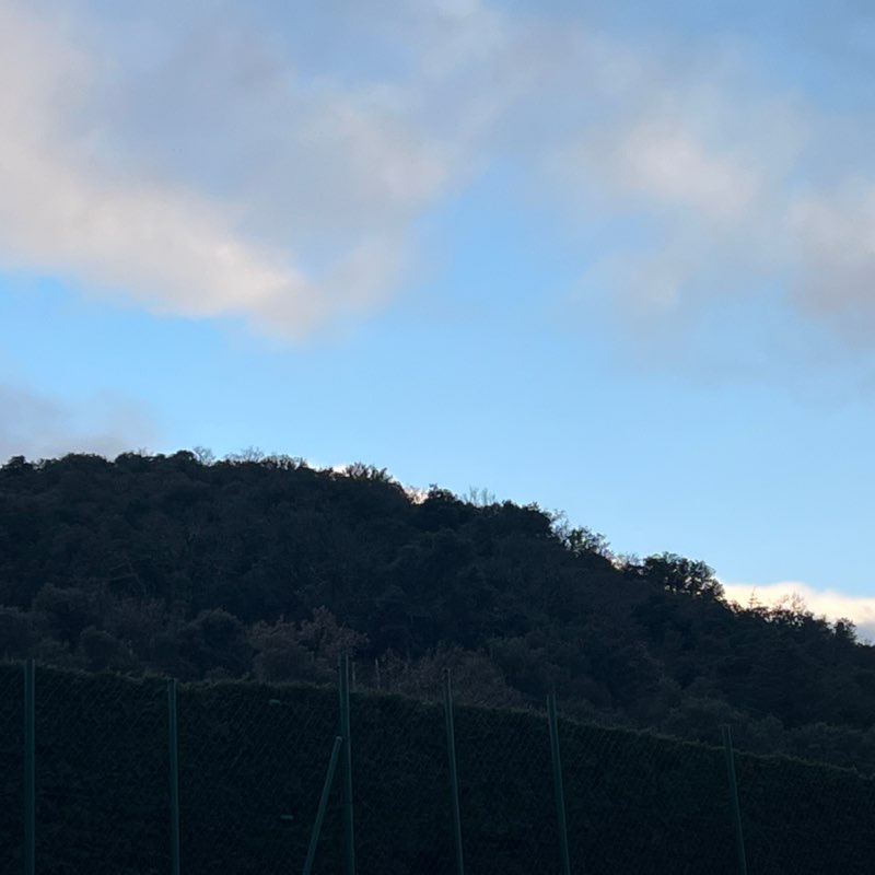 frederic.mellinand post 1