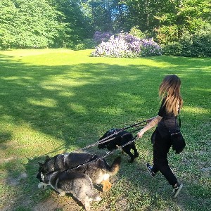 lana_lexi_luna2 profile