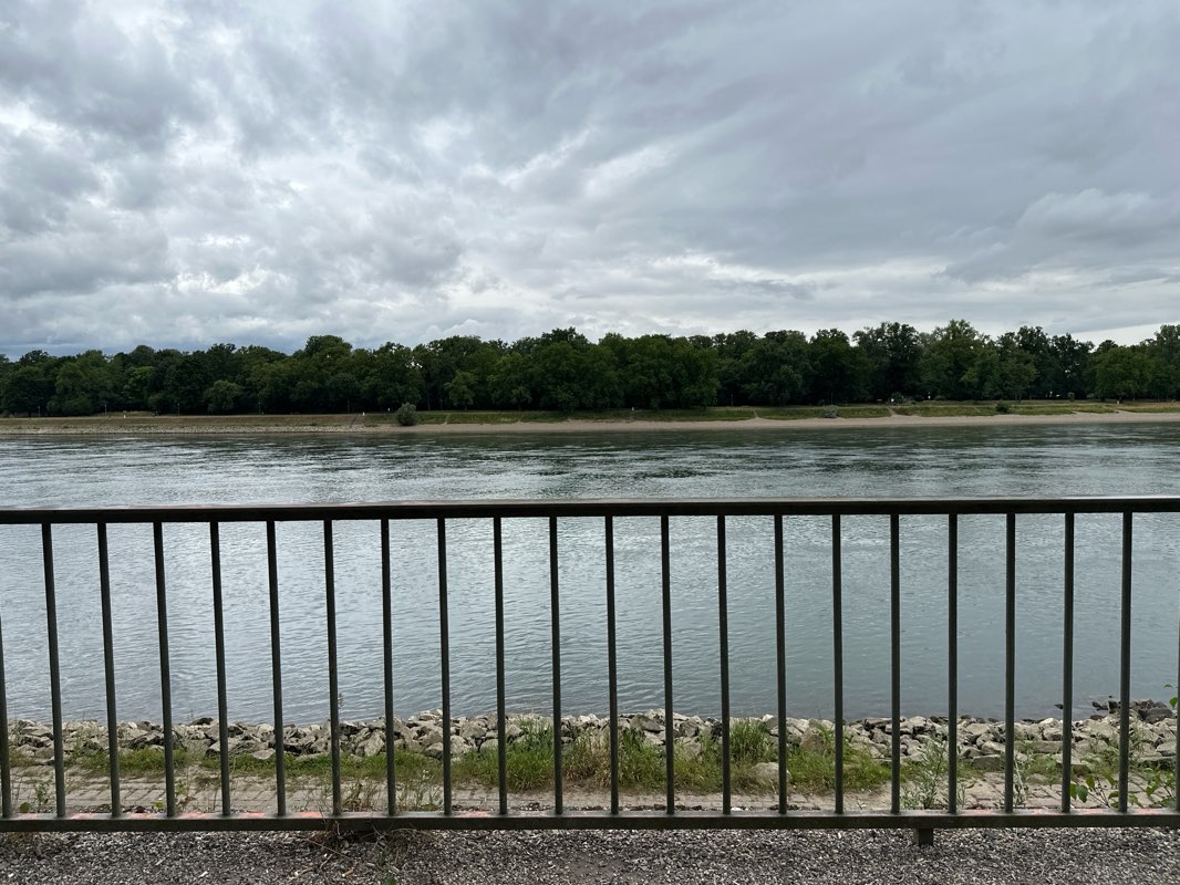 walking near me in Lanz Park in summer