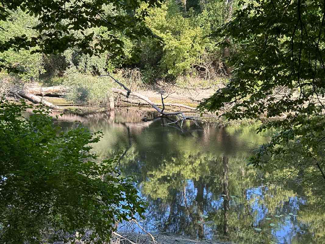 walking near me in Schlosspark in summer