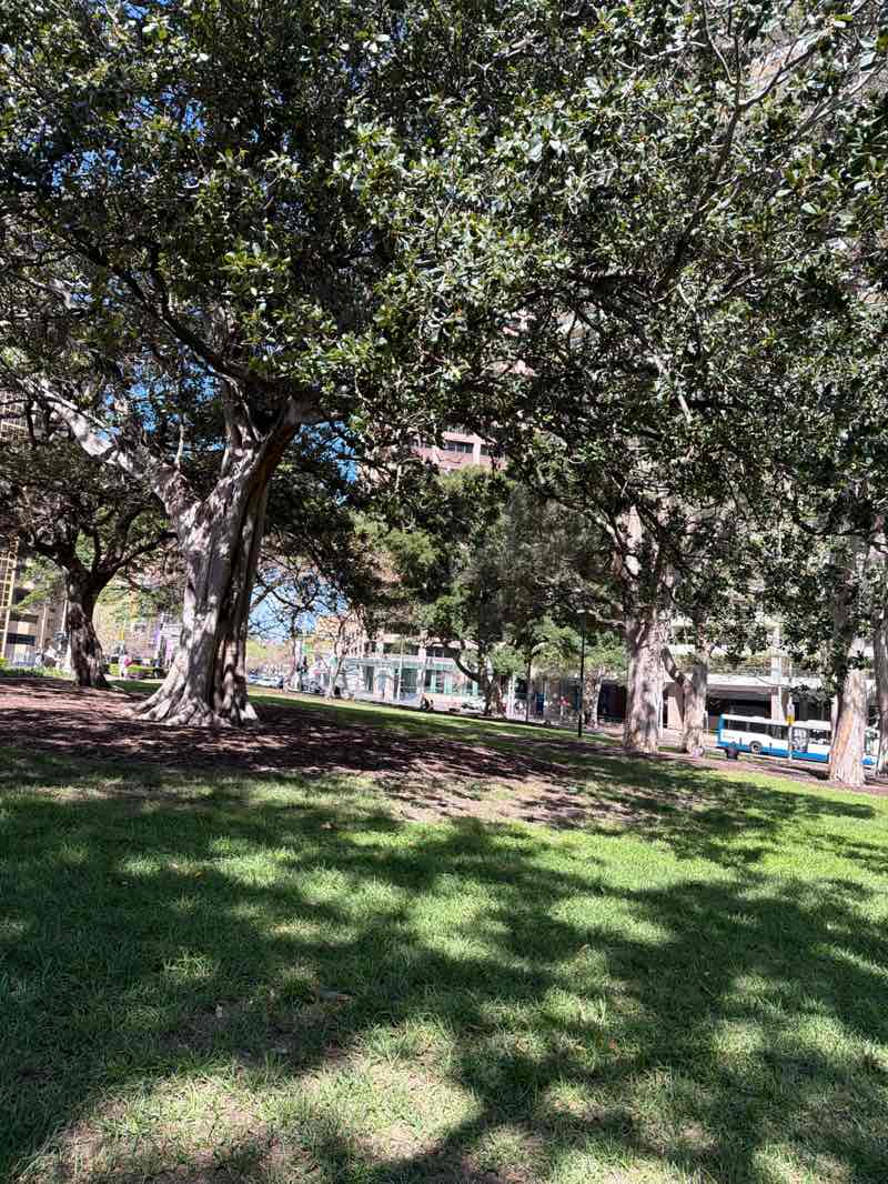 walking near me in Hyde Park South in spring