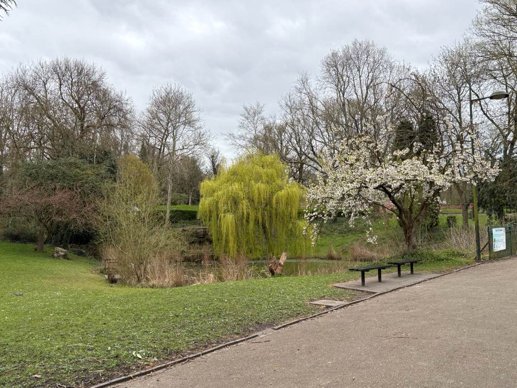 walking near me in Hanley Park in spring