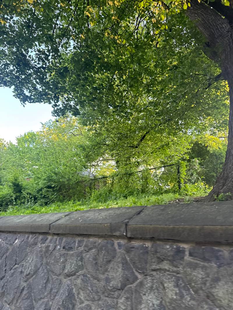 walking near me in Sunset Park in spring