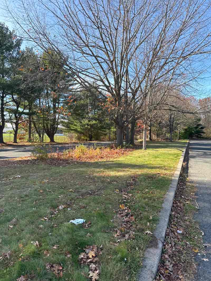 walking near me in Alumni Field in autumn