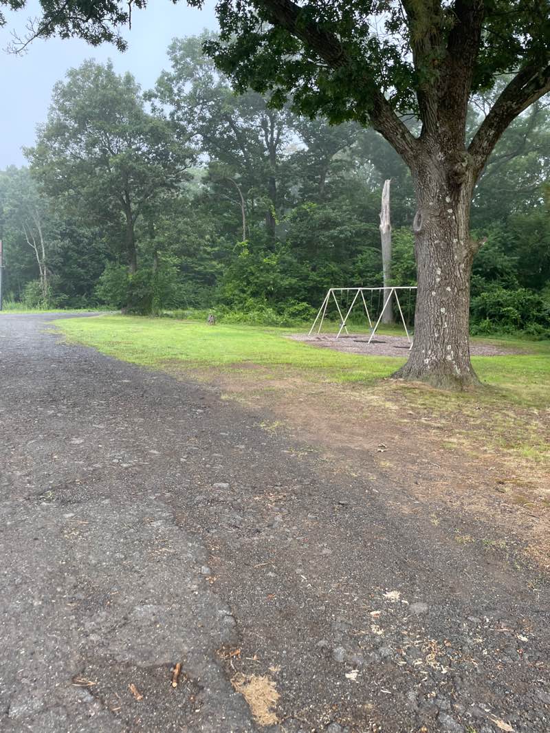 walking near me in American Legion Field in autumn