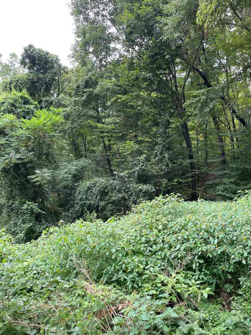 walking near me in Joseph Allen Skinner State Park in autumn