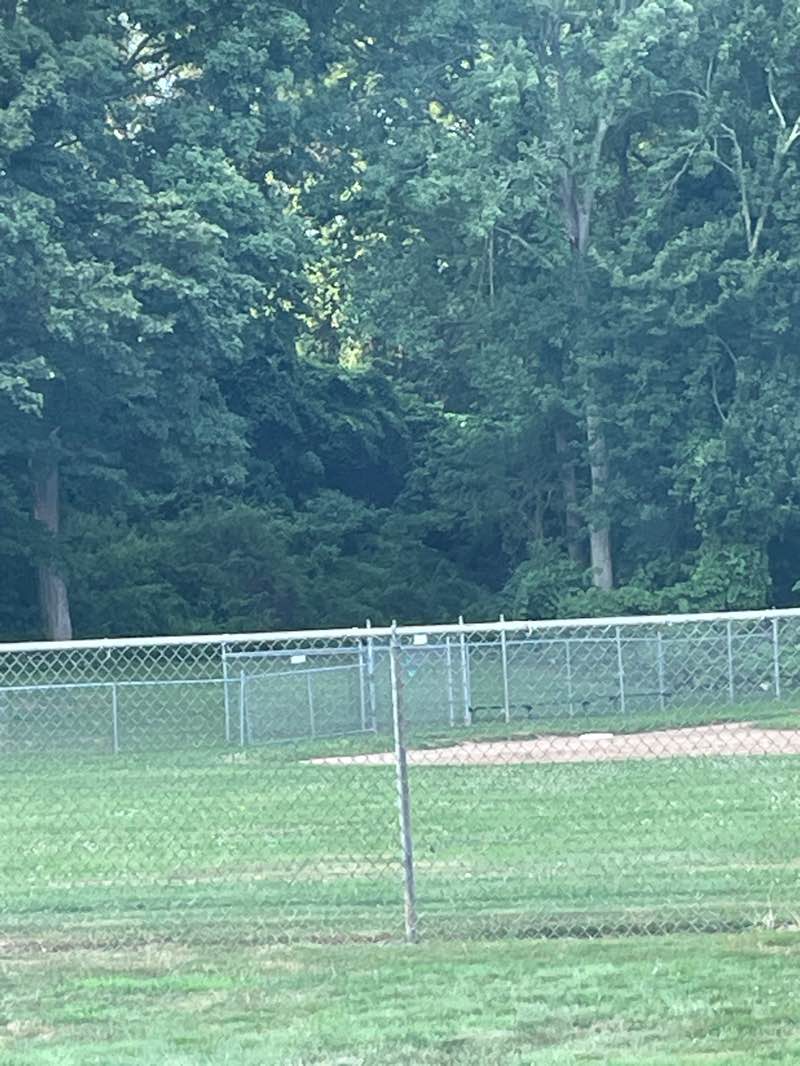 walking near me in Bernie Daley Memorial Field in autumn