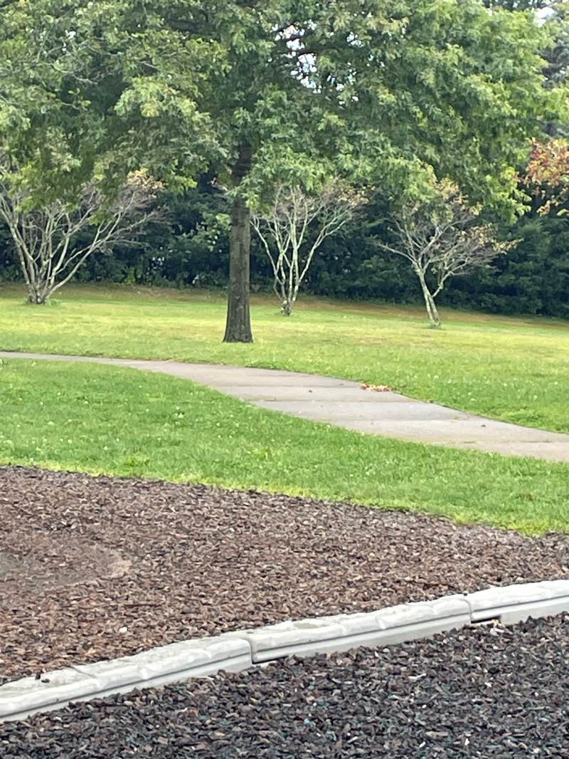 walking near me in Sand Hill / Nevers Park in autumn