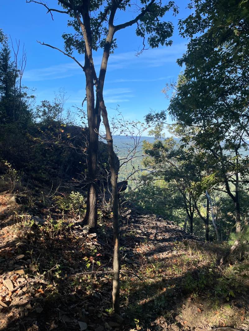 walking near me in Mt Tom State Reservation in autumn