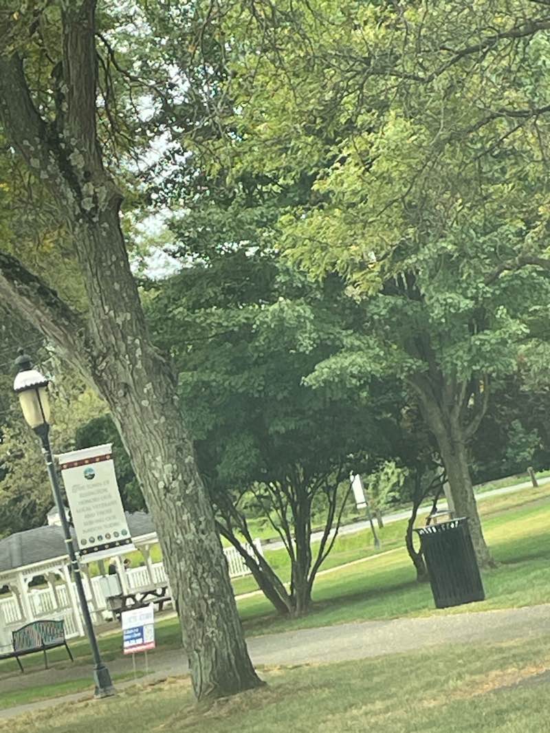 walking near me in Arbor Park in autumn