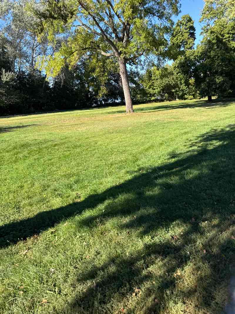 walking near me in Waterman Park in autumn