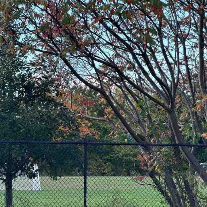 Travis 🇺🇸🇧🇸 post 1