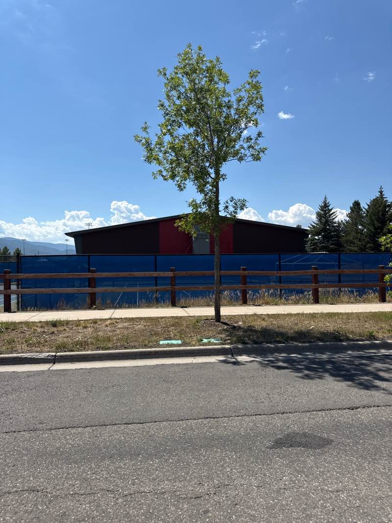 walking near me in Miku Center in autumn