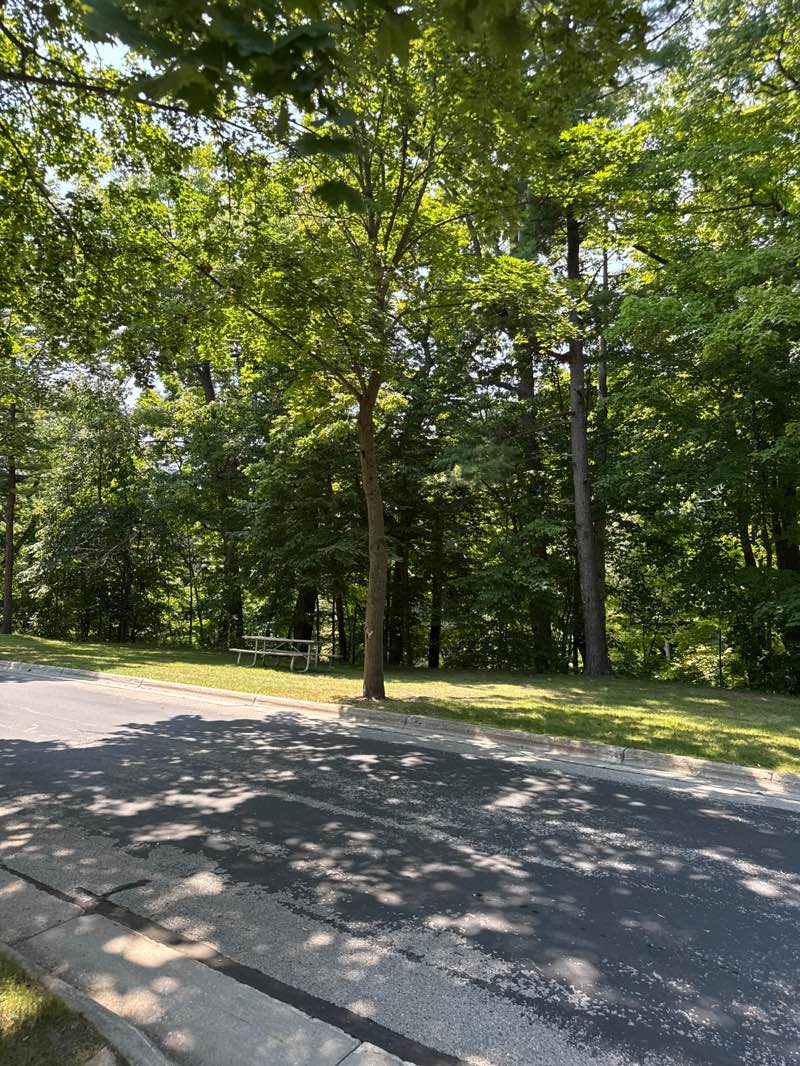 walking near me in Ravine Park in autumn
