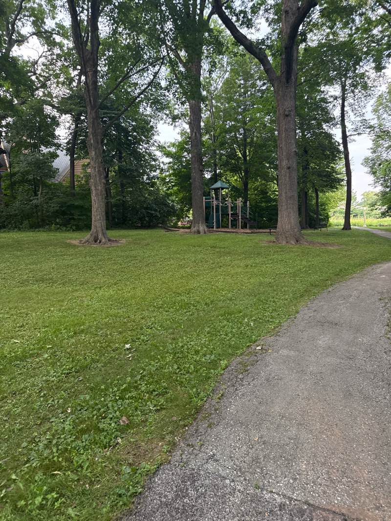 walking near me in Tall Oaks Park in autumn