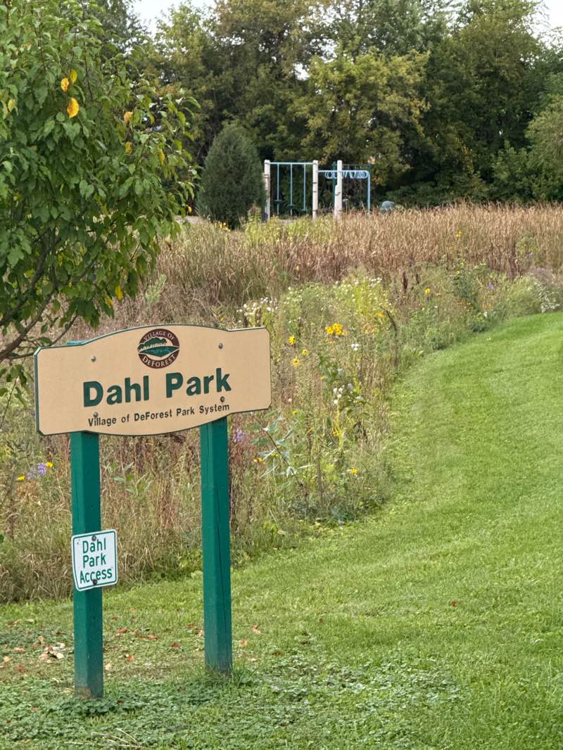 walking near me in Dahl Park in autumn