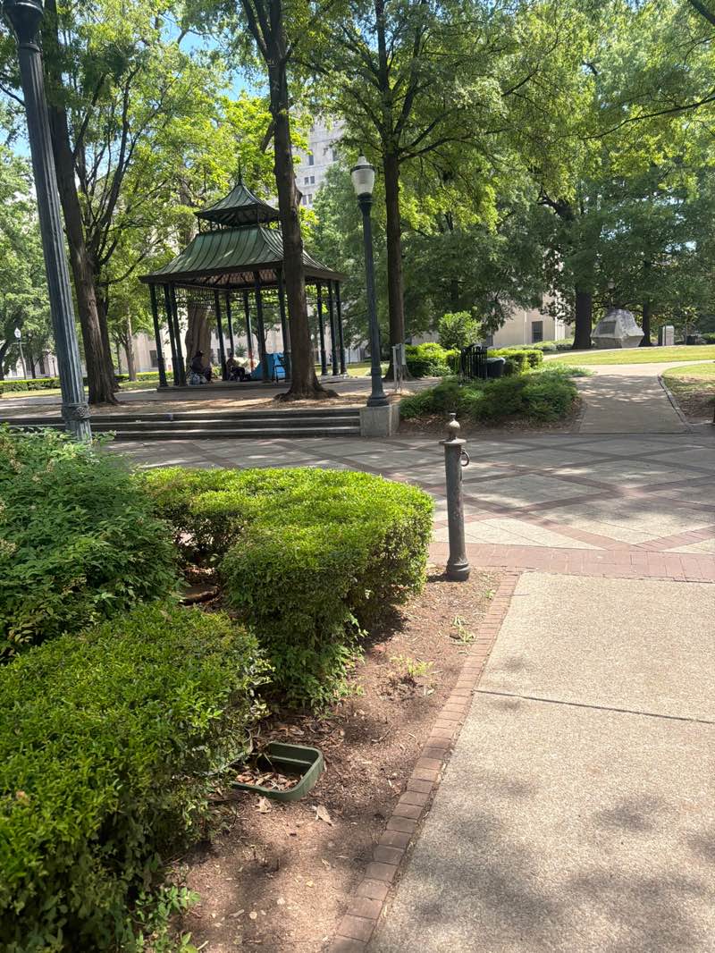 walking near me in Linn Park in spring