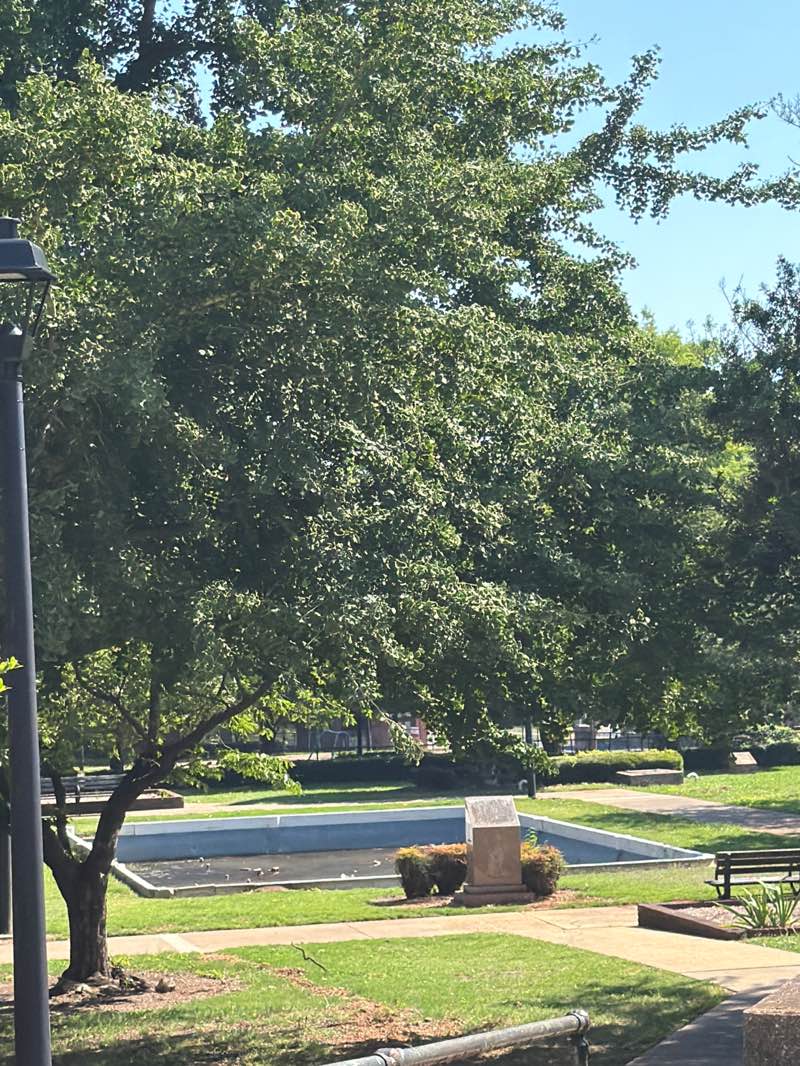 walking near me in Brother Bryan Park in summer