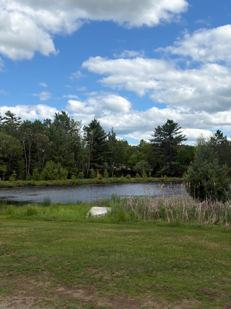 walking near me in Alvin R Gongaware Memorial Park in summer