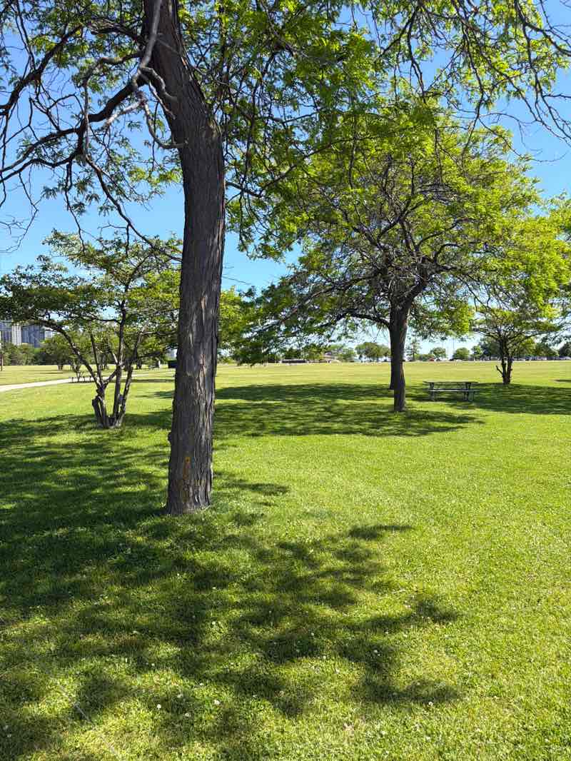 walking near me in Lakeshore State Park in summer
