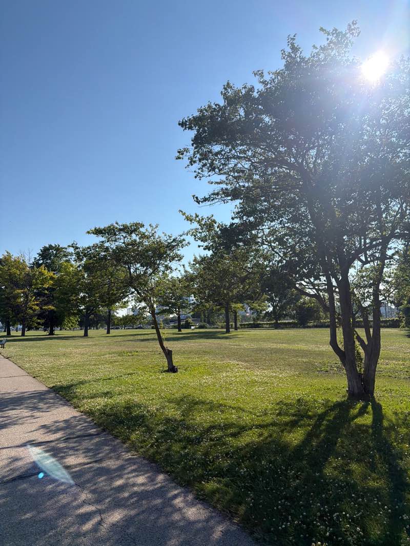 walking near me in Veterans Park in summer