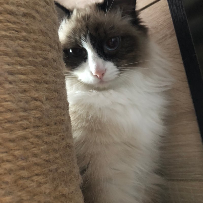 Михаил profile