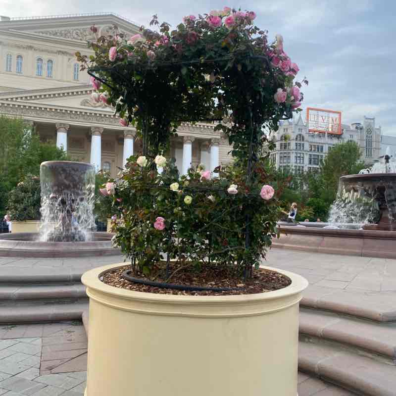 Пешком ⚡🎗️🏆 Елена post image