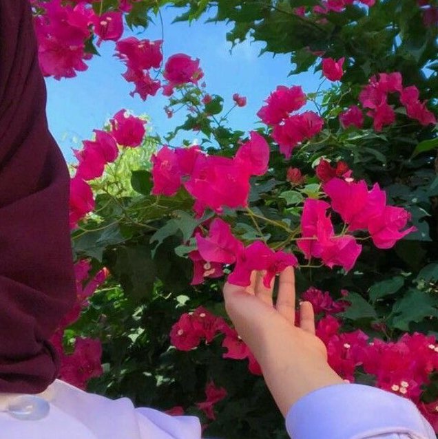 زينب عادل المعيوف icon