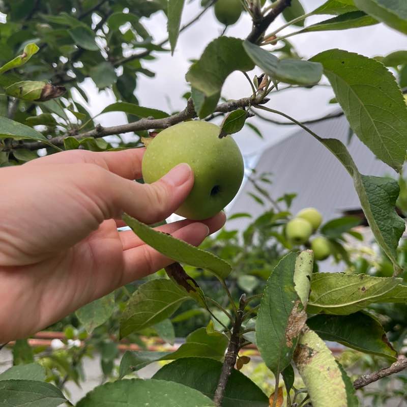 Brisa Club🌬️✨ nasim post image