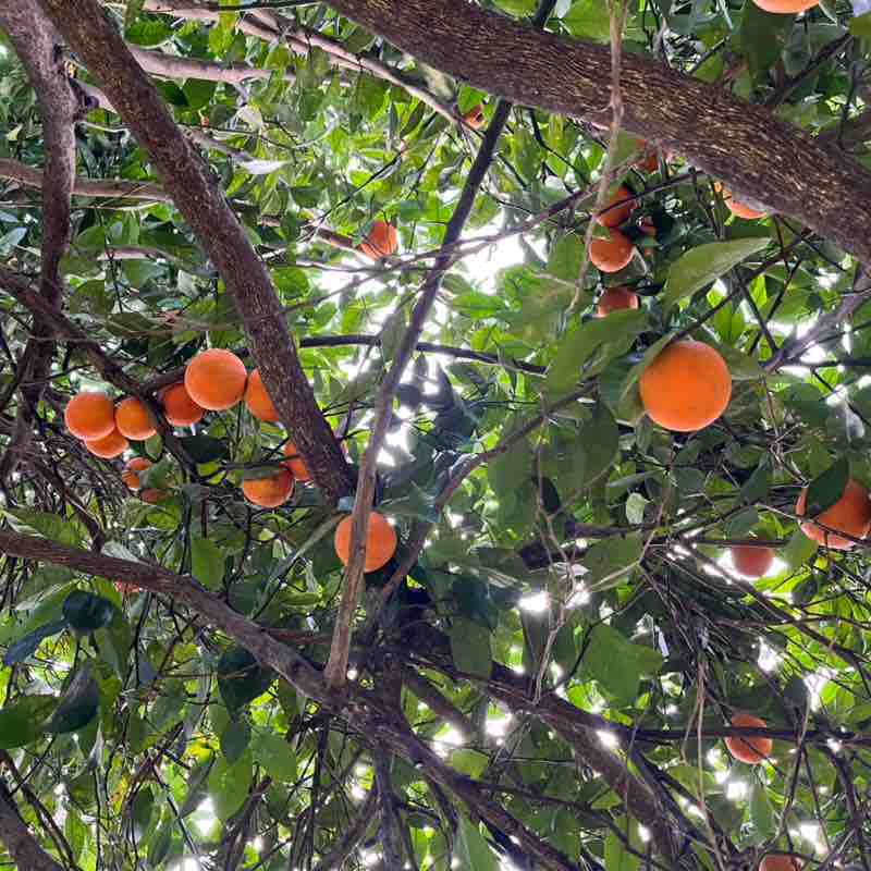 Brisa Club🌬️✨ nasim post image