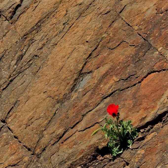 Brisa Club🌬️✨ nasim post image