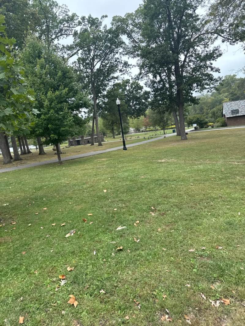 walking near me in Verona Park in autumn