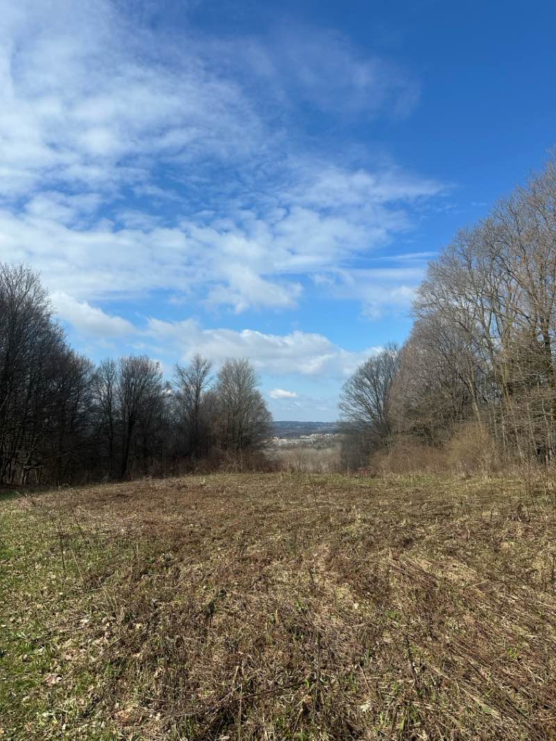 walking near me in Green Lakes State Park in spring