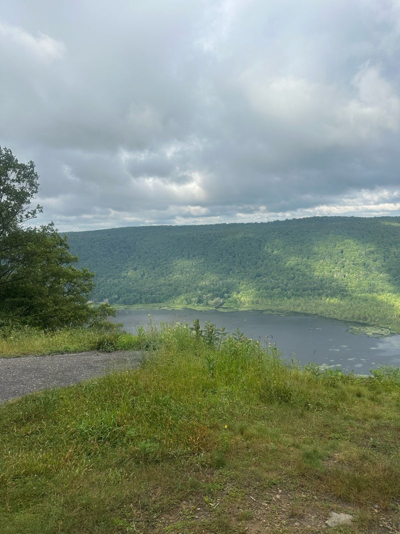 walking near me in Labrador Hollow Unique Area in summer